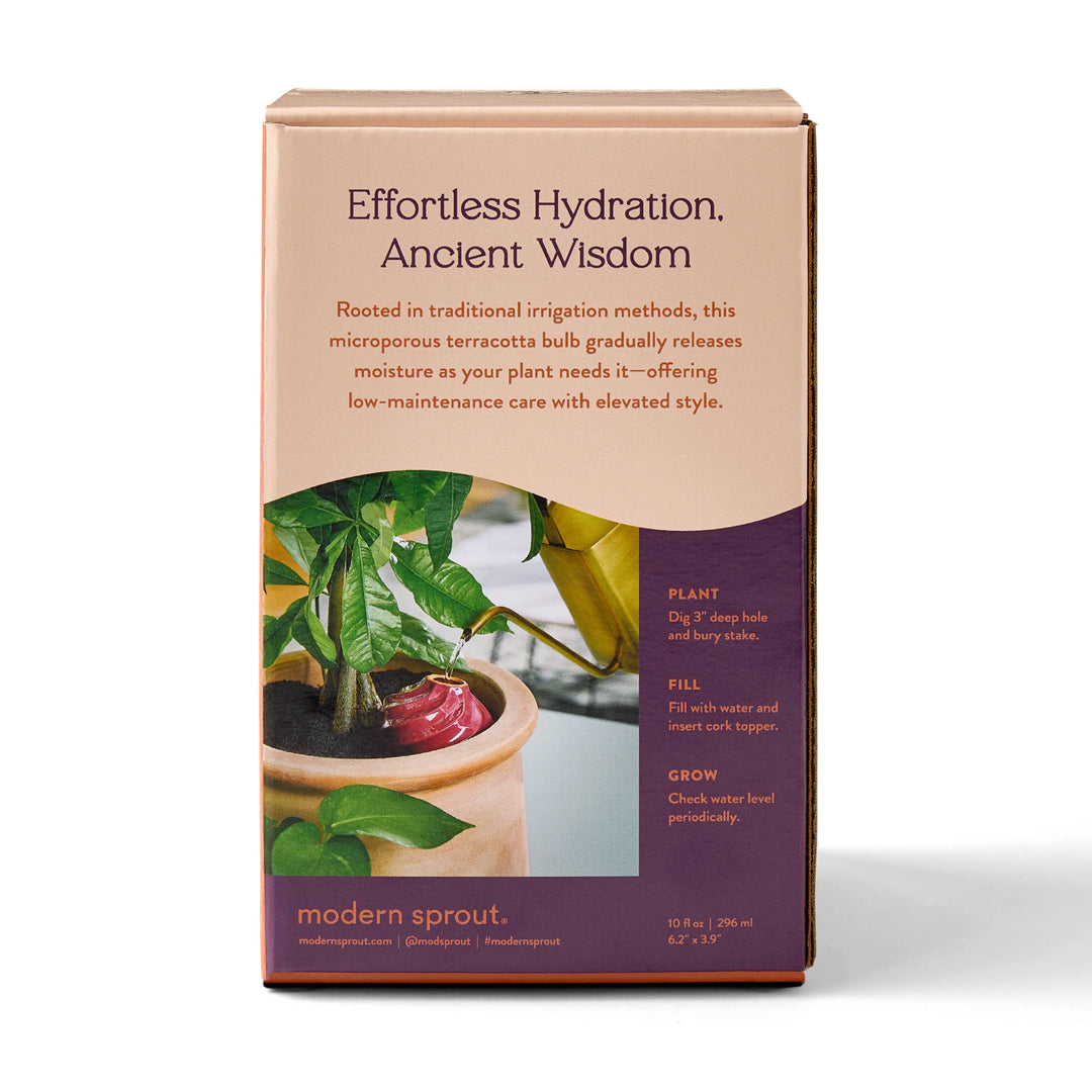 Sage Terracotta Watering Bulb