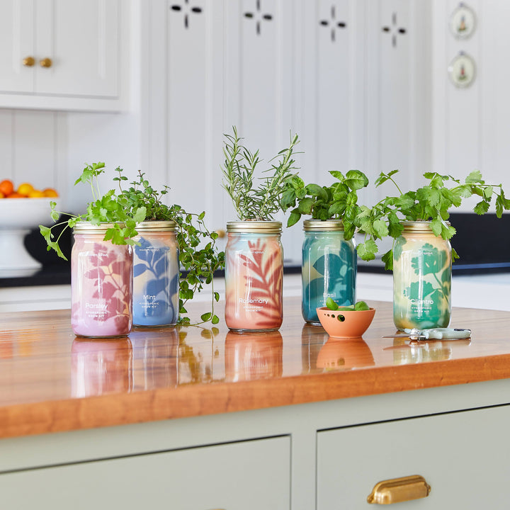 Rosemary Herb Garden Jar