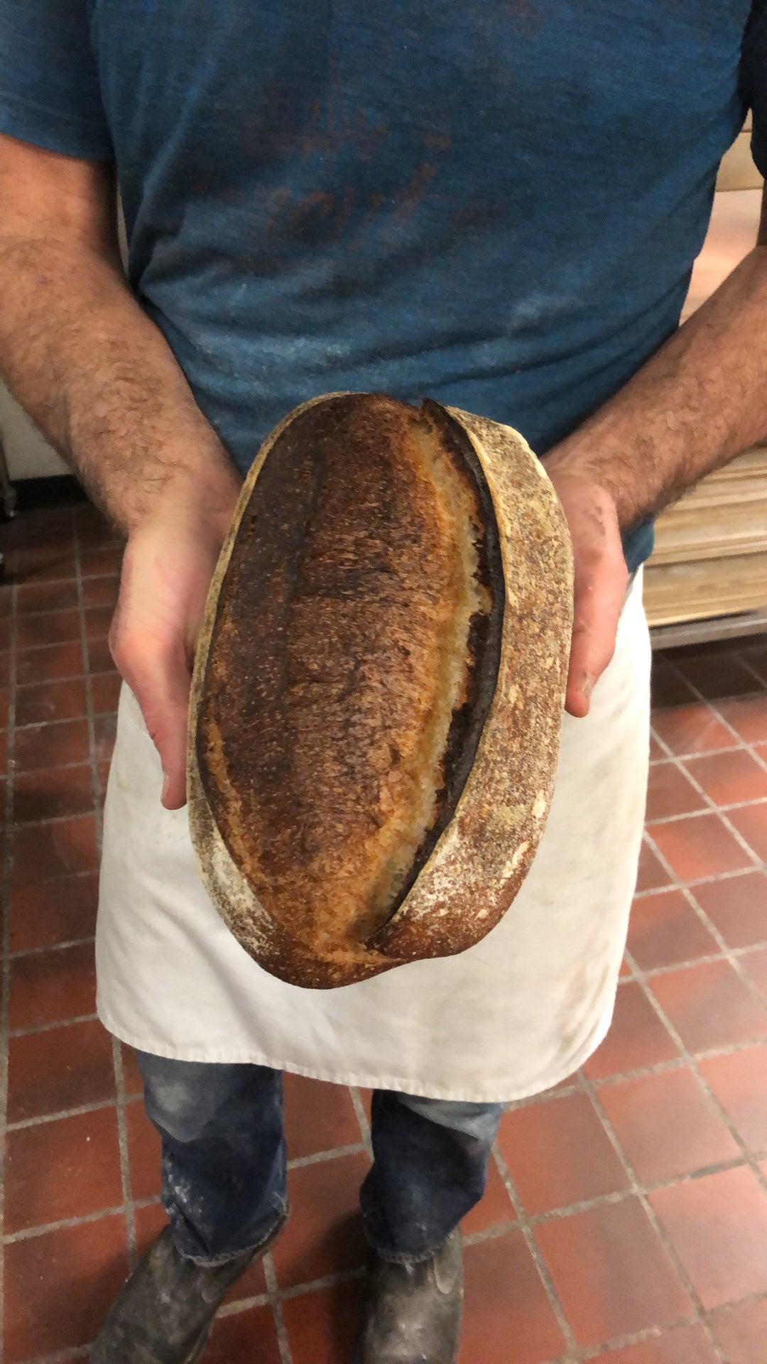 The Craft of Sourdough — From Starter to Loaf
