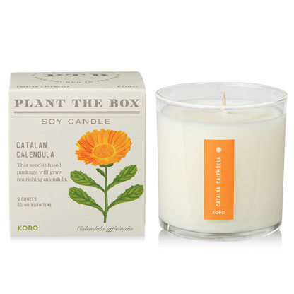 Catalan Calendula Plant The Box Candle, 9 Oz