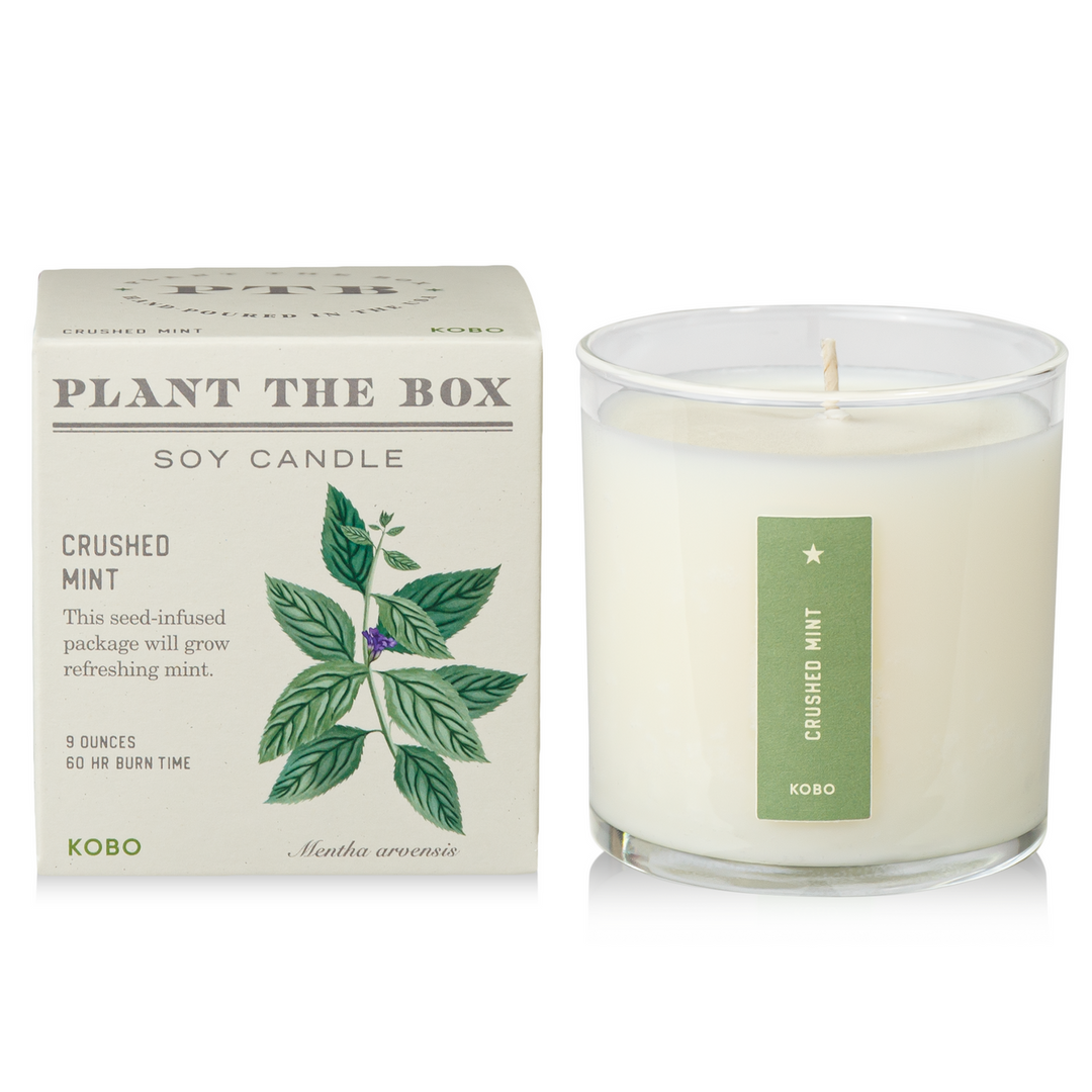 Crushed Mint Plant The Box Candle, 9 Oz