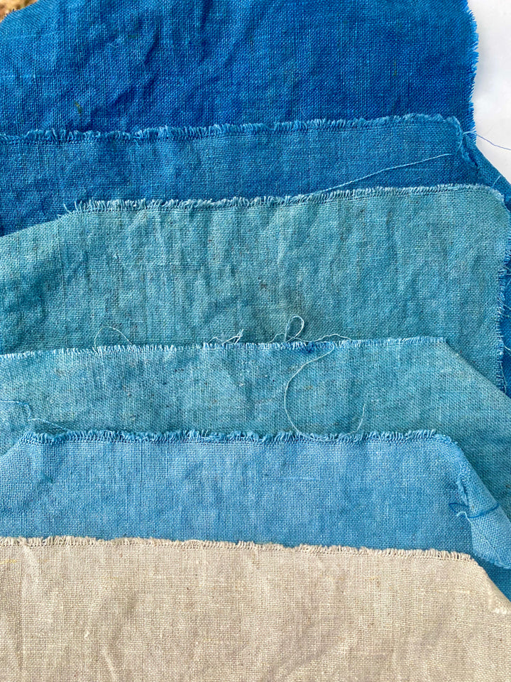 Intro to the Beautiful Blues of Indigo