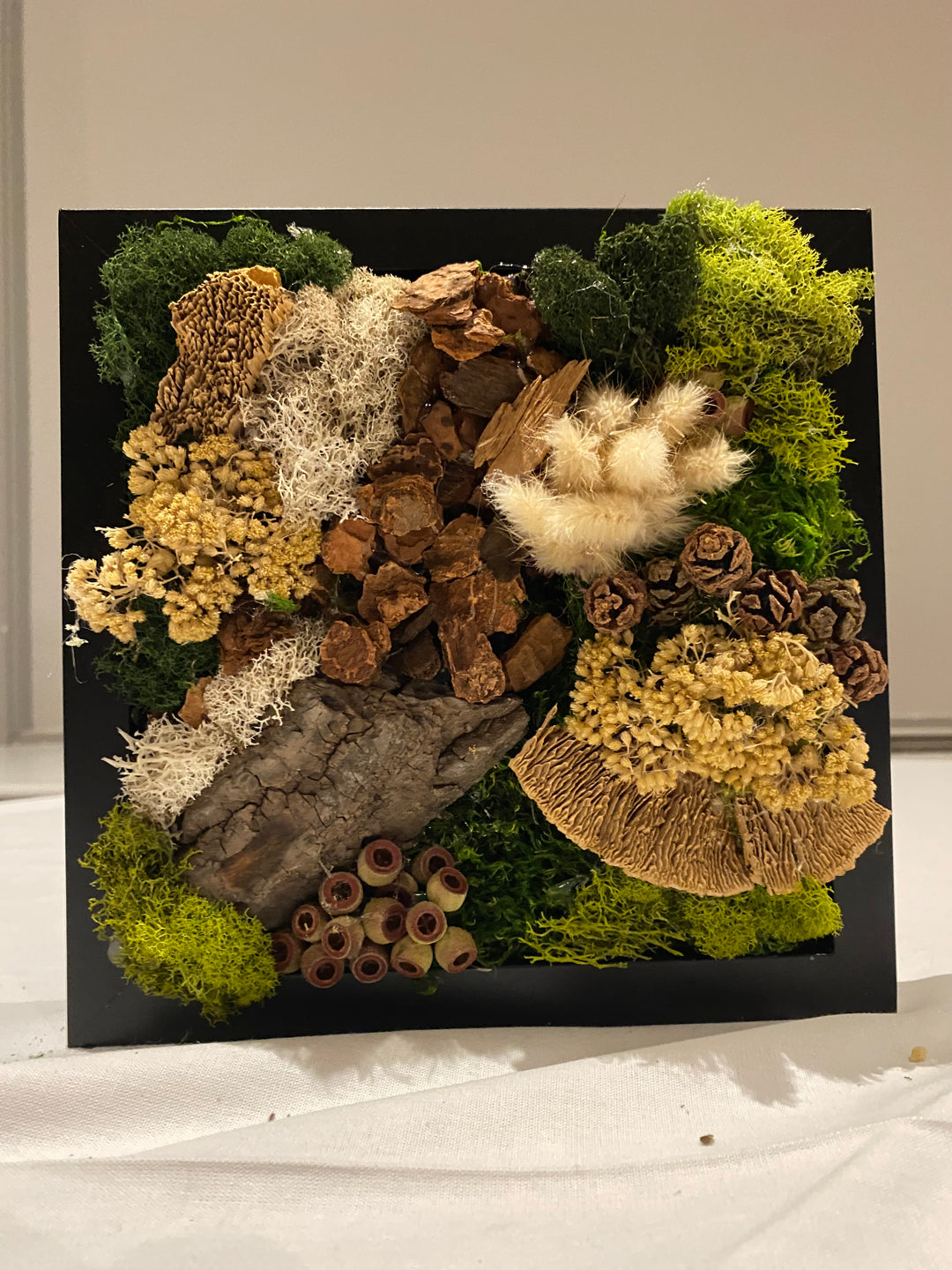 Create Your Own Moss Wall Art