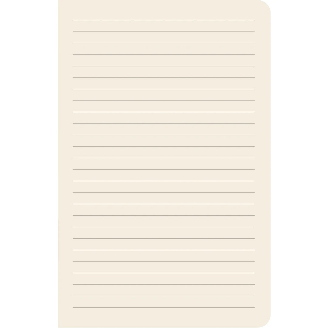 Hummingbirds Notebook