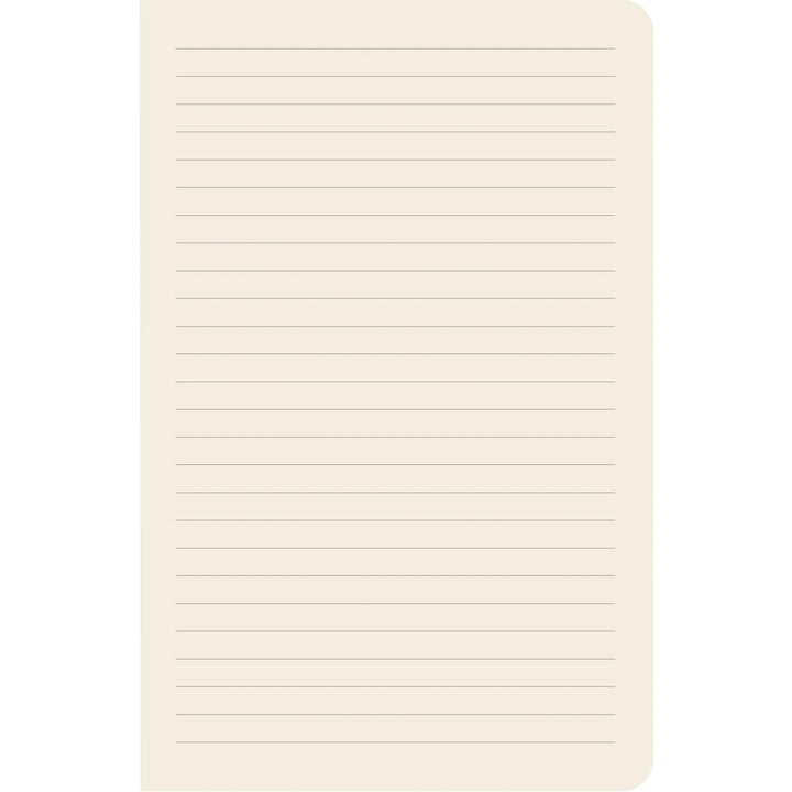 Hummingbirds Notebook