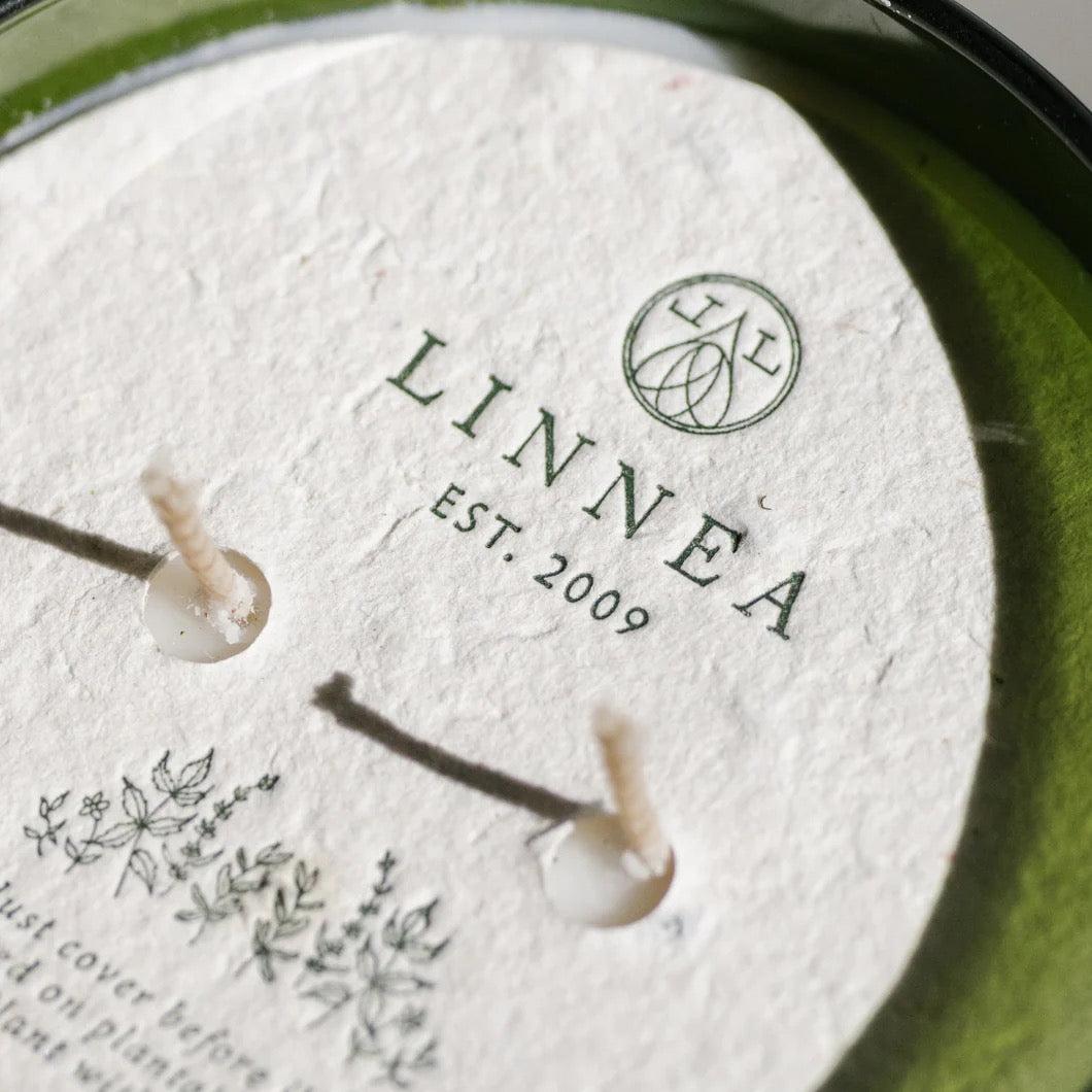 Crushed Mint 2-Wick Large Candle