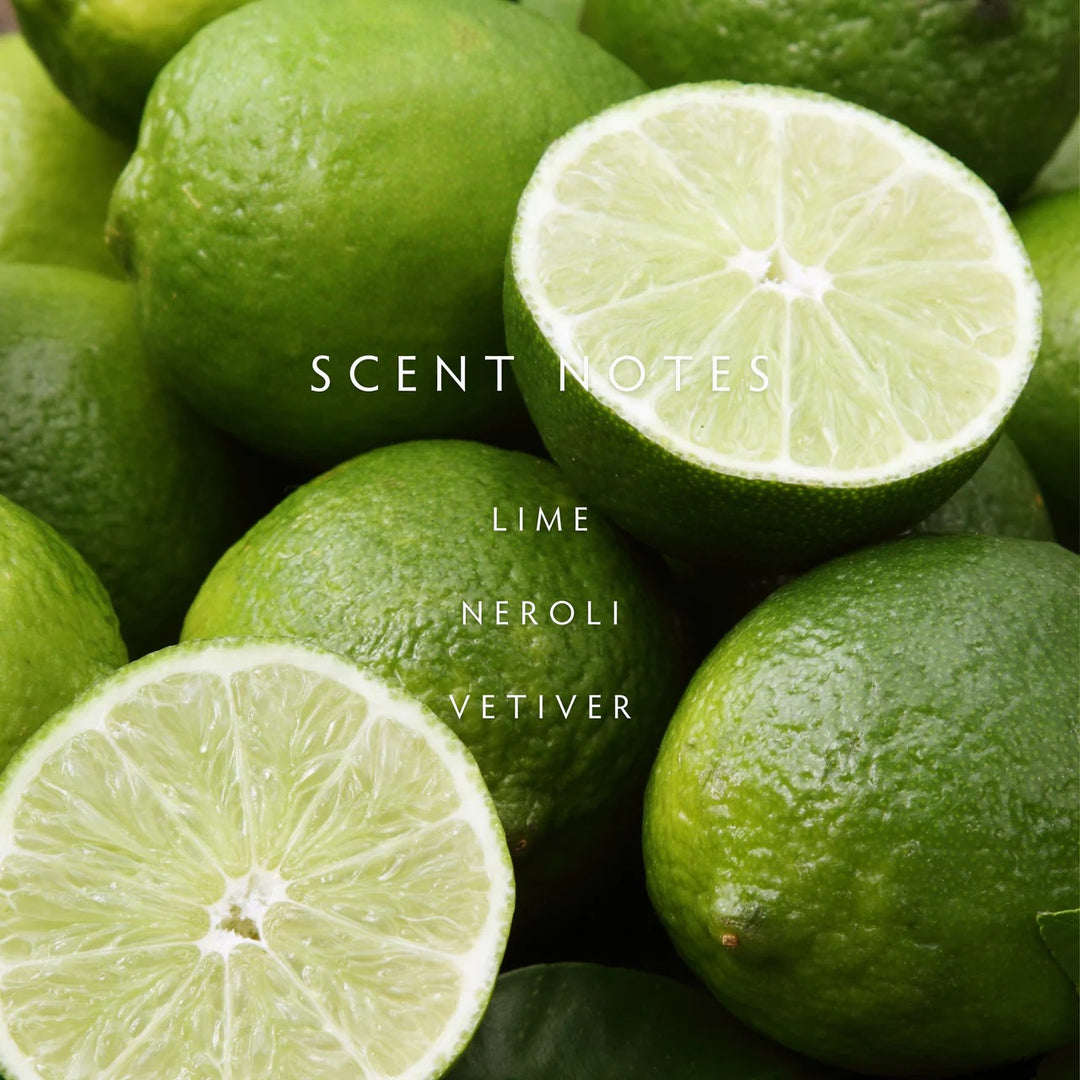 Persian Lime Reed Diffuser Kit