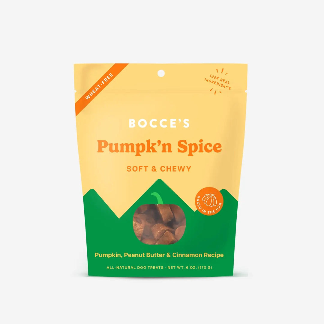 Pumpk'n Spice Soft & Chewy Treats