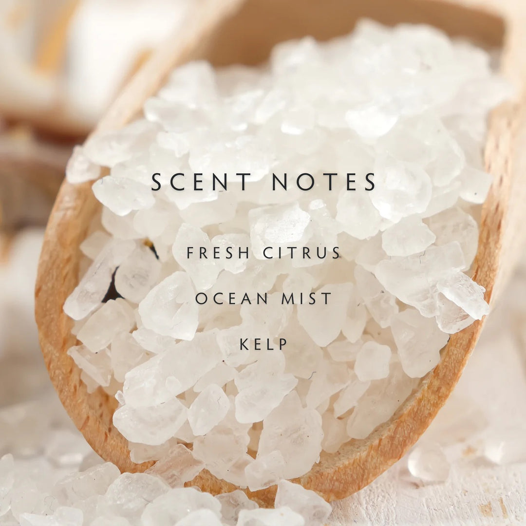 Sea Salt 2-Wick Large Candle