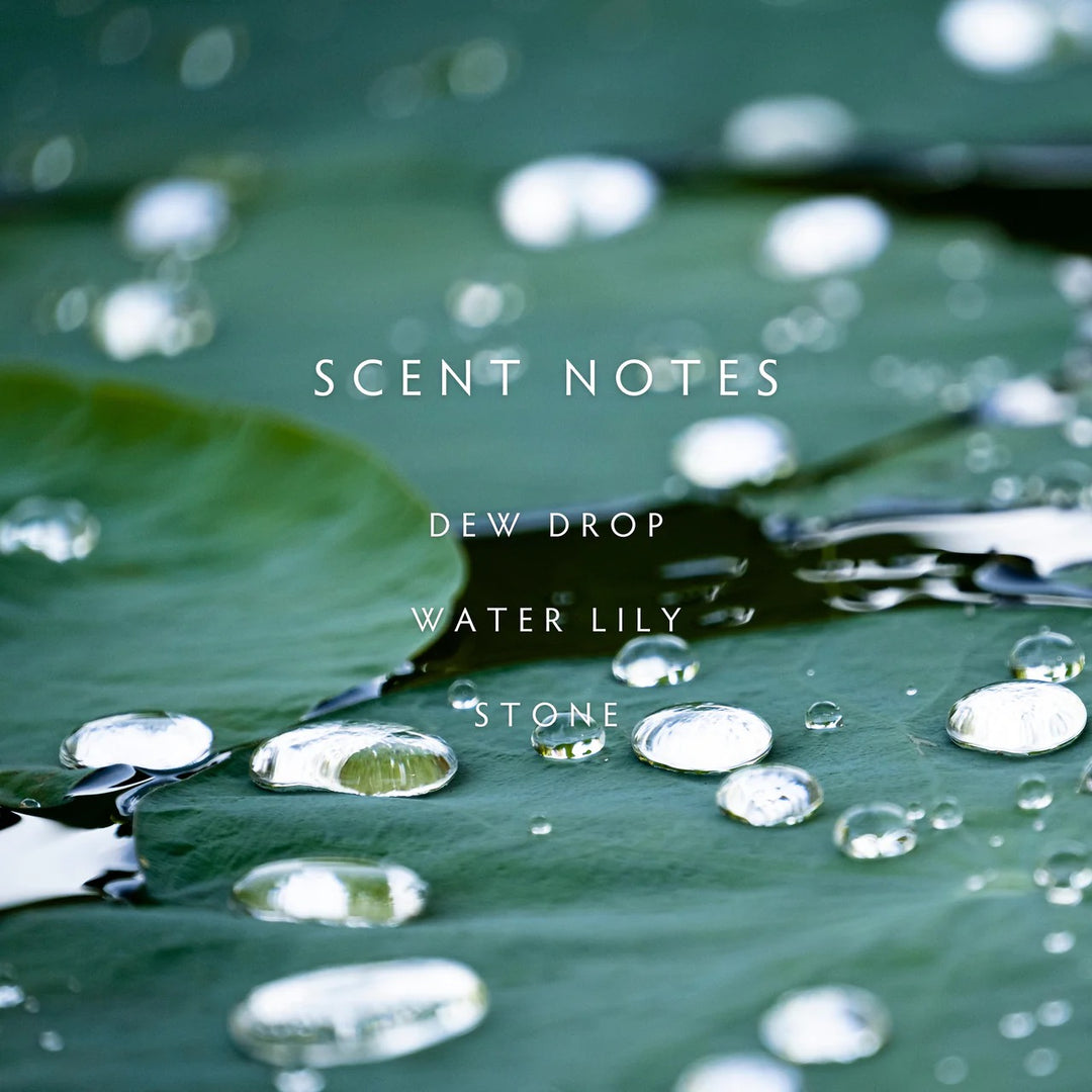 Rain Reed Diffuser Kit