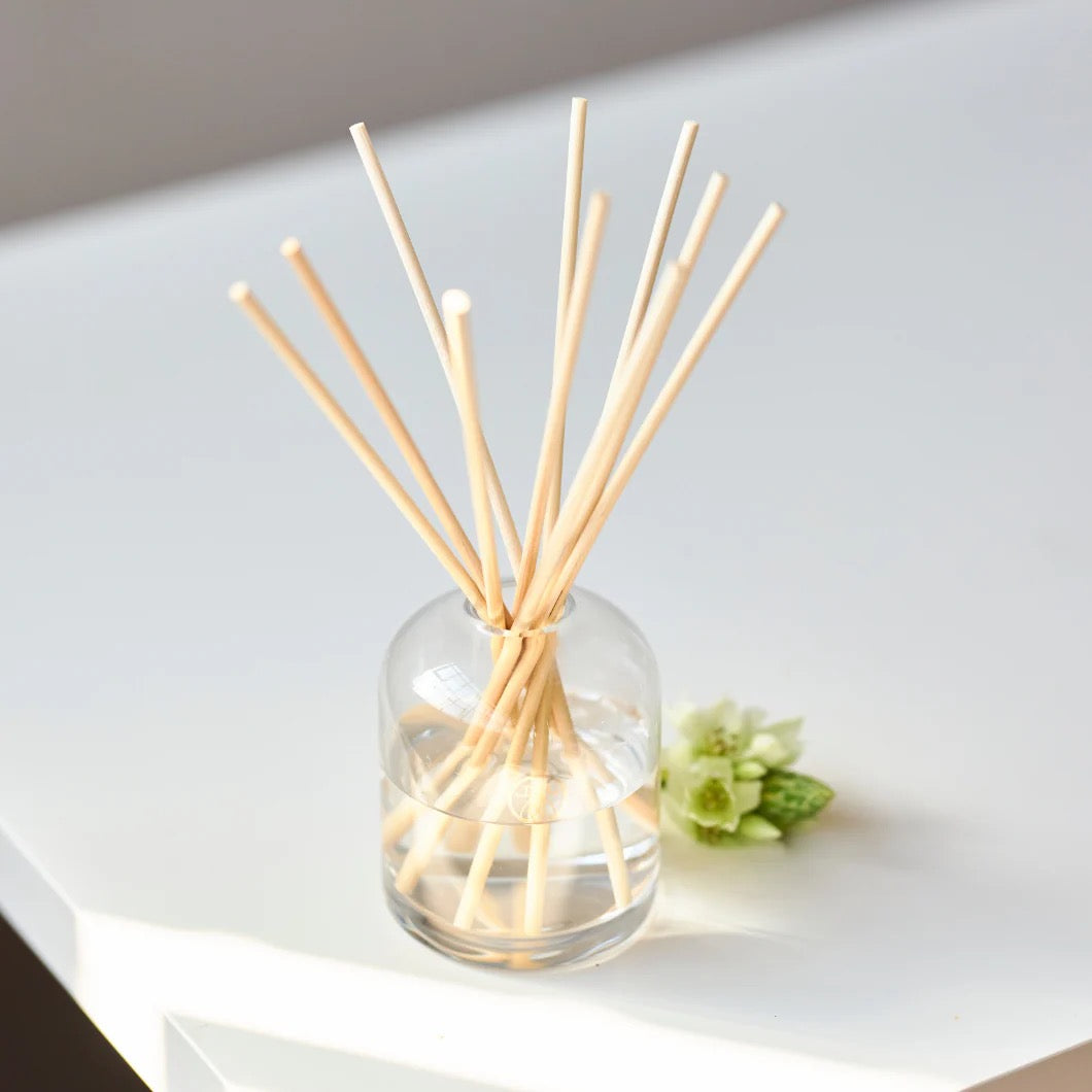 Rain Reed Diffuser Kit