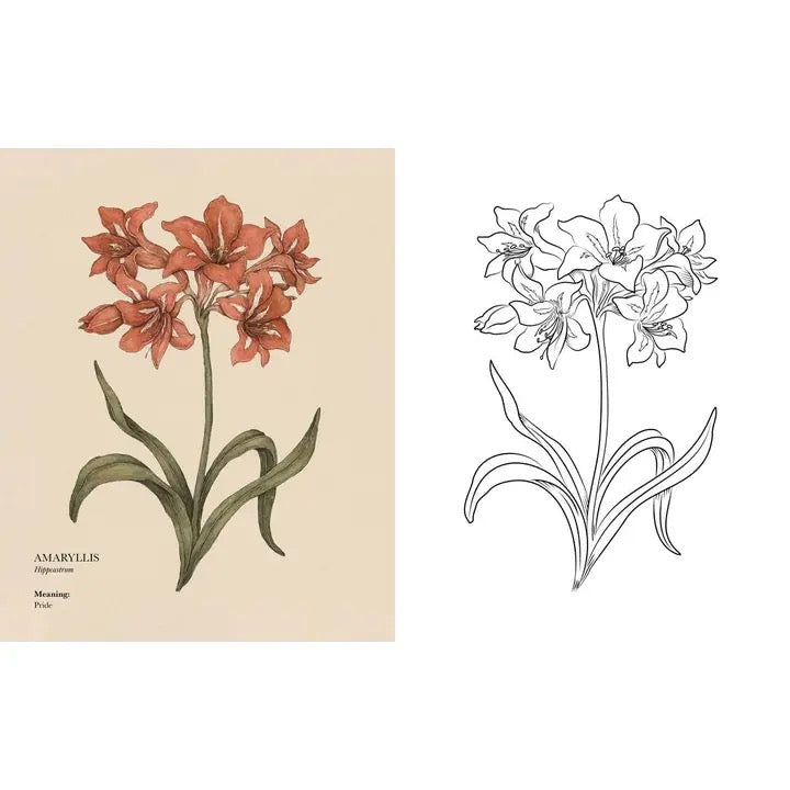 The Floriography Coloring Book