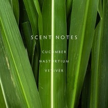 Cucumber Vine 2-Wick Large Candle