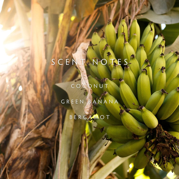 Banana Wild 2-Wick Large Candle