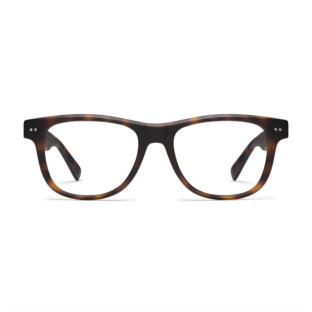 Sullivan Tortoise Shell Readers