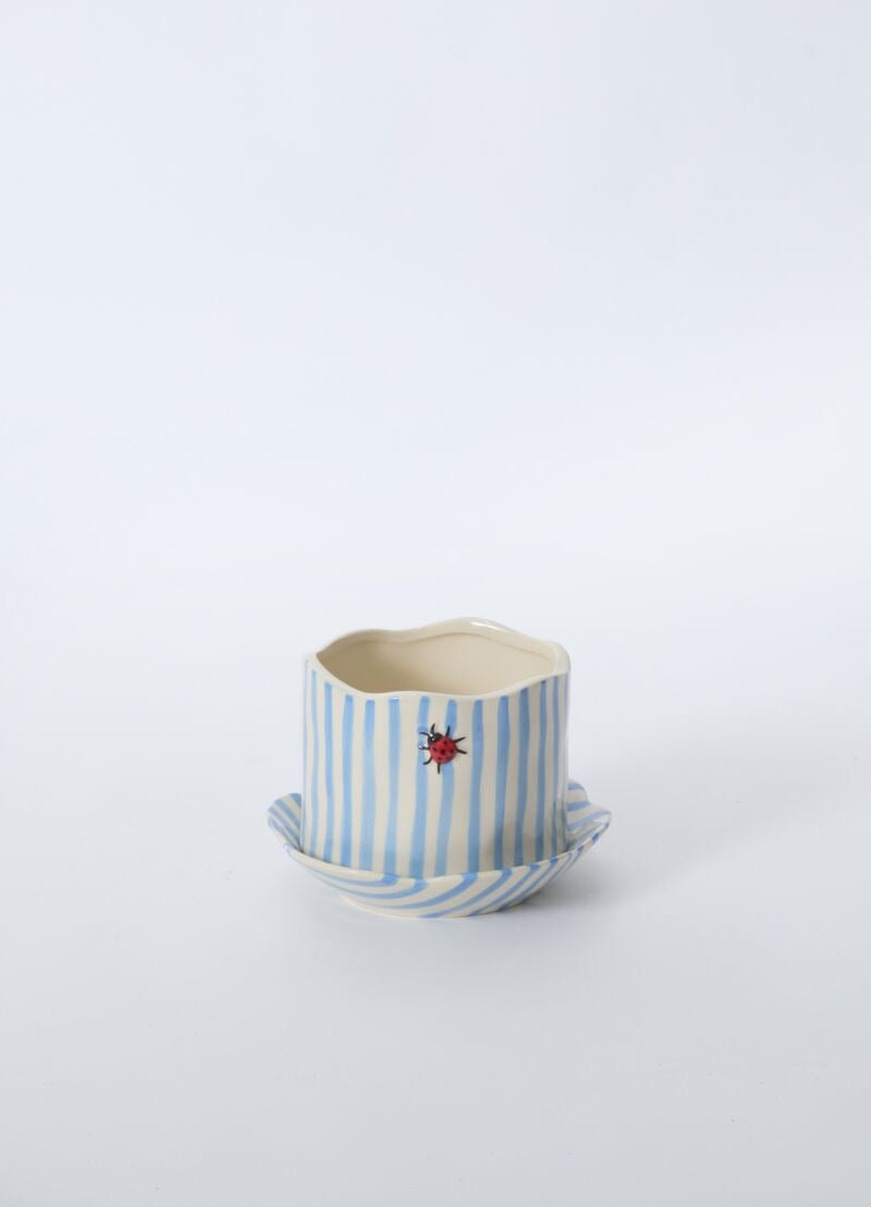 Ladybug Pot With Saucer