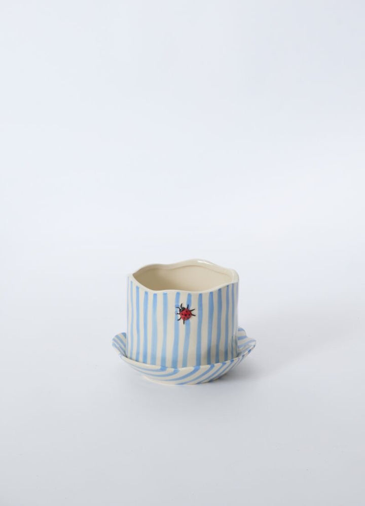 Ladybug Pot With Saucer