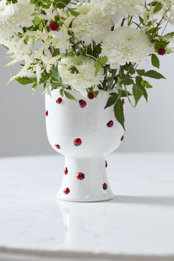 Ladybug Planter