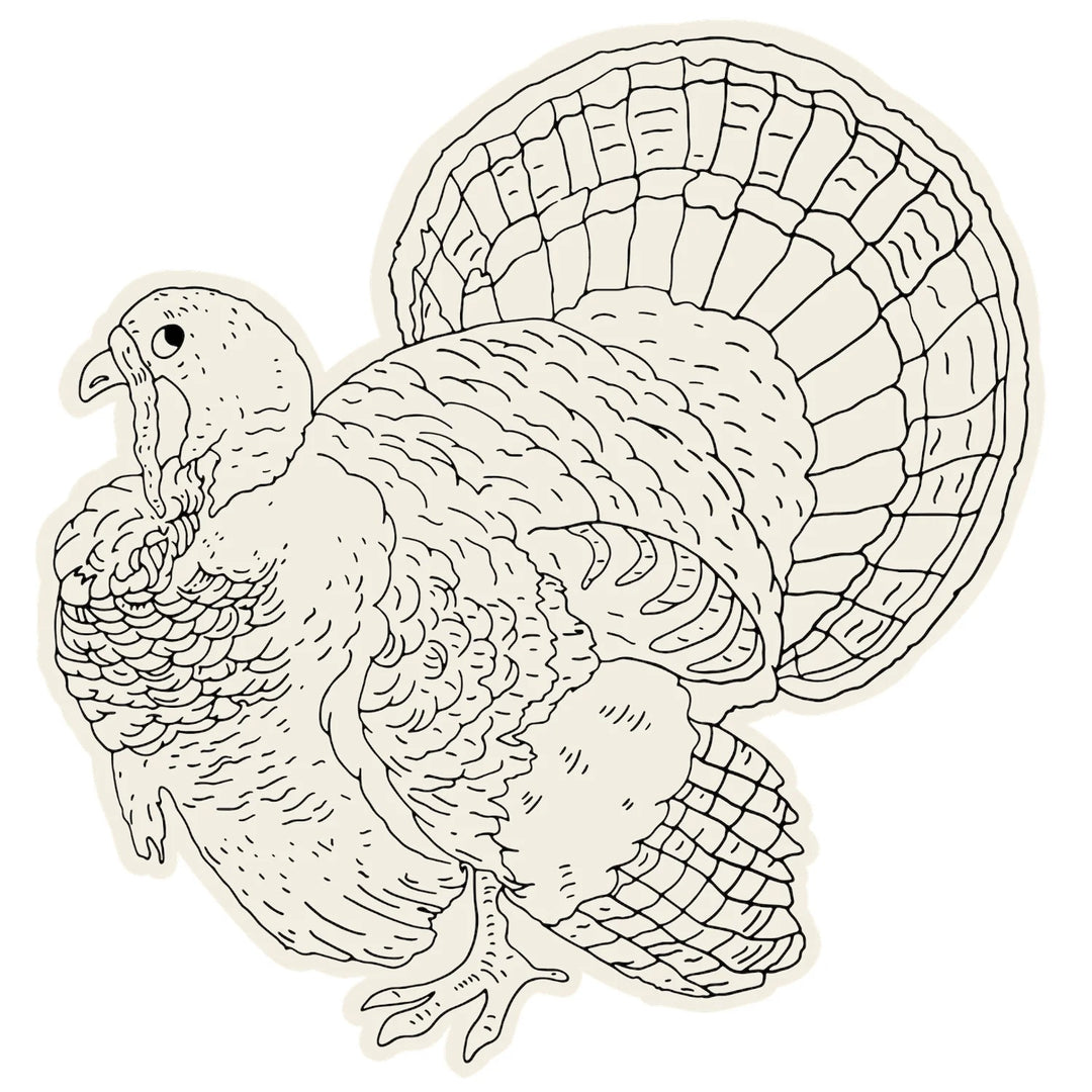 Die-Cut Coloring Turkey Placemats | Set Of 12