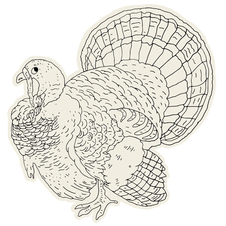 Die-Cut Coloring Turkey Placemats | Set Of 12