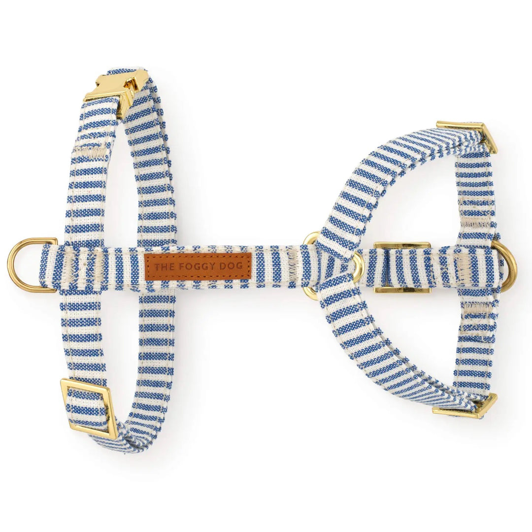 Lake Blue Stripe Dog Harness