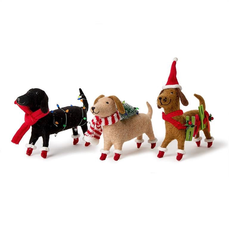 Jolly Dogs
