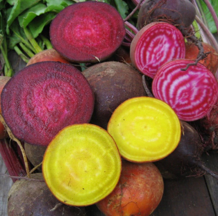 Brilliant Beet Blend Seed Pack