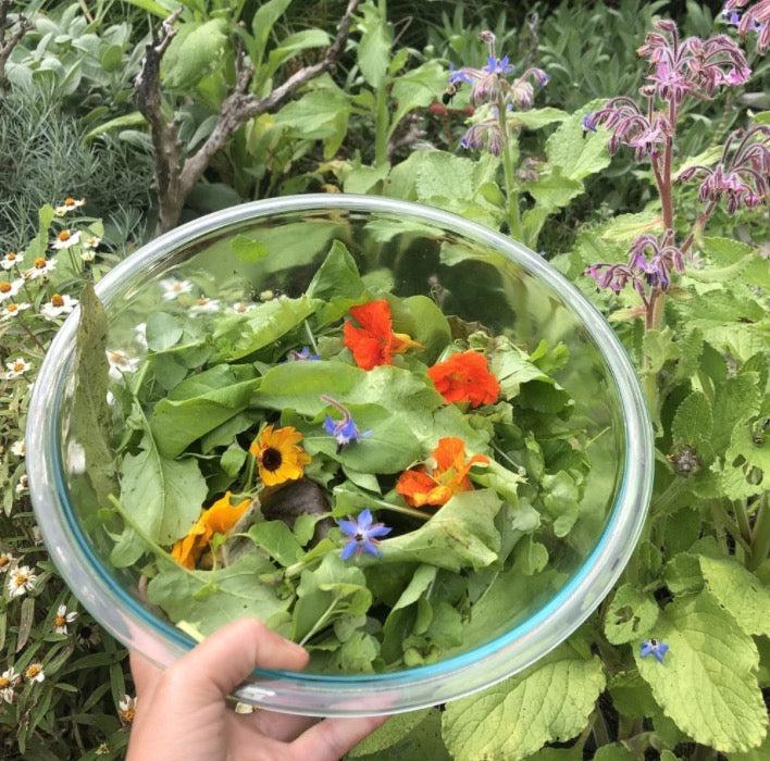 Edible Flower Mix Seed Pack