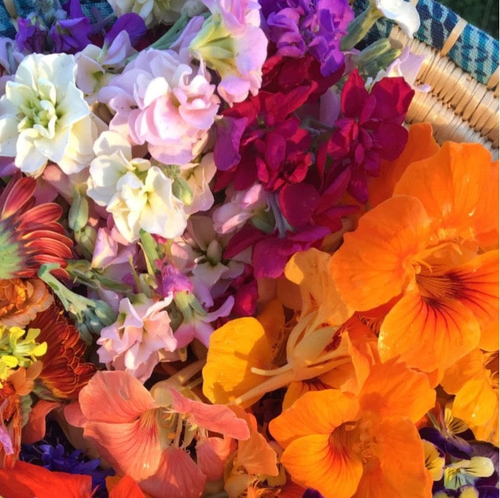 Edible Flower Mix Seed Pack