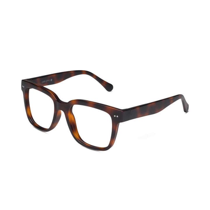 Laurel Tortoise Readers