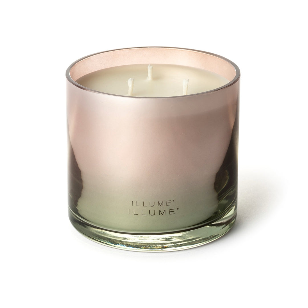 Coconut Milk Mango Statement Glass Candle