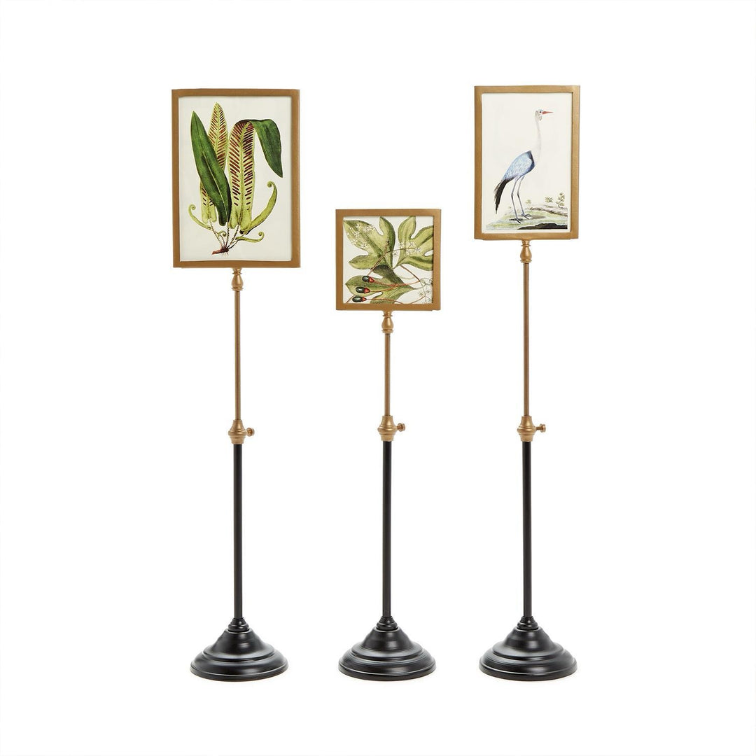 Double-Sided Picture Frame On Telescoping Pole