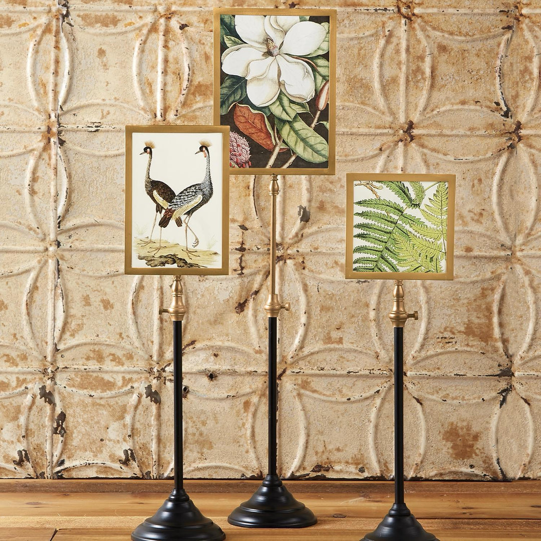 Double-Sided Picture Frame On Telescoping Pole