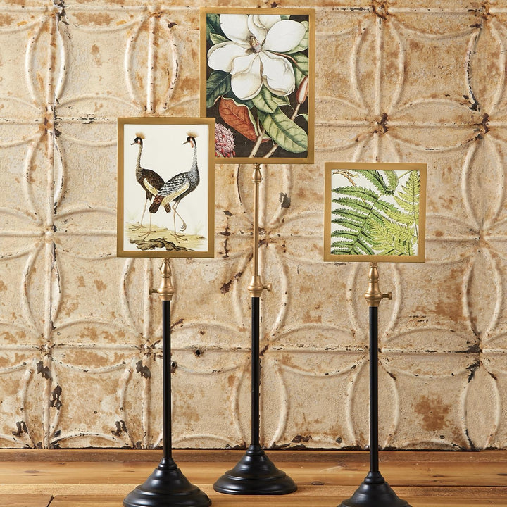 Double-Sided Picture Frame On Telescoping Pole