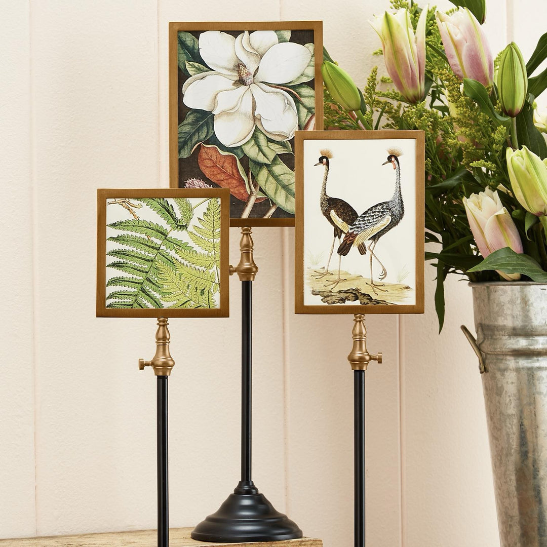 Double-Sided Picture Frame On Telescoping Pole
