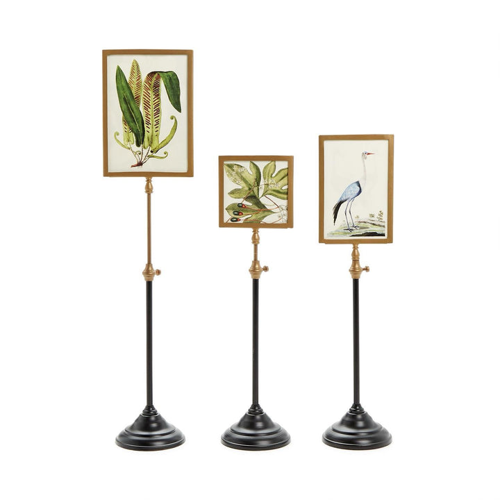 Double-Sided Picture Frame On Telescoping Pole