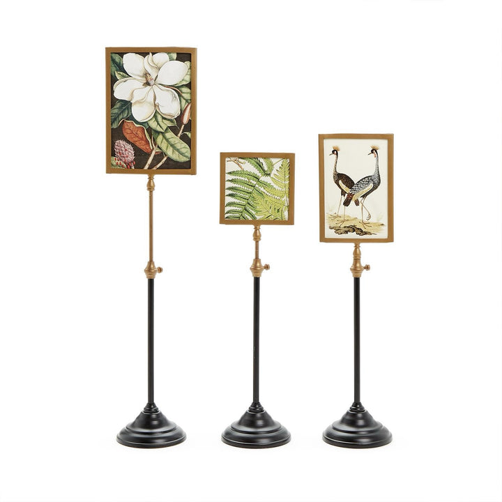 Double-Sided Picture Frame On Telescoping Pole