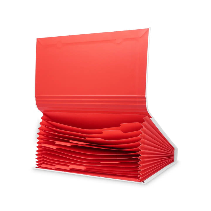 Ladybug Dot Accordion File Folio