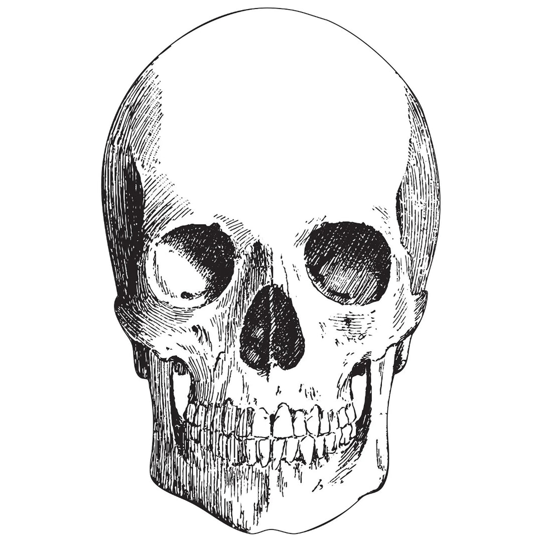 Die Cut Skull Placemat | Pack Of 12 Sheets