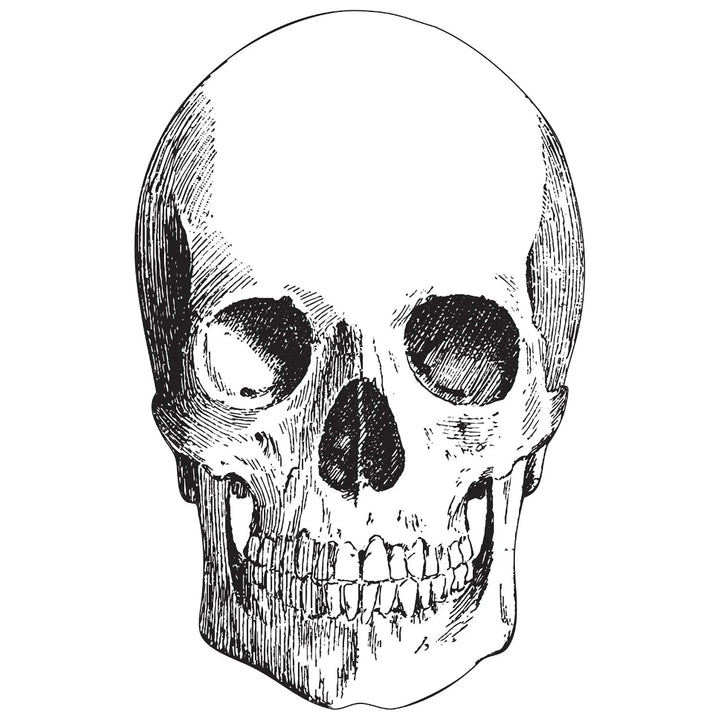 Die Cut Skull Placemat | Pack Of 12 Sheets