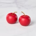 Cherries Salt & Pepper Set