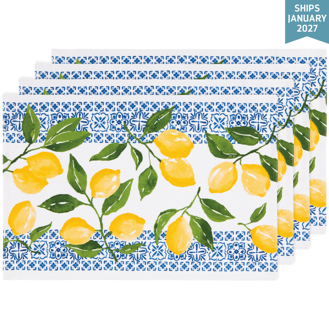 Limoni Placemat Set of 4