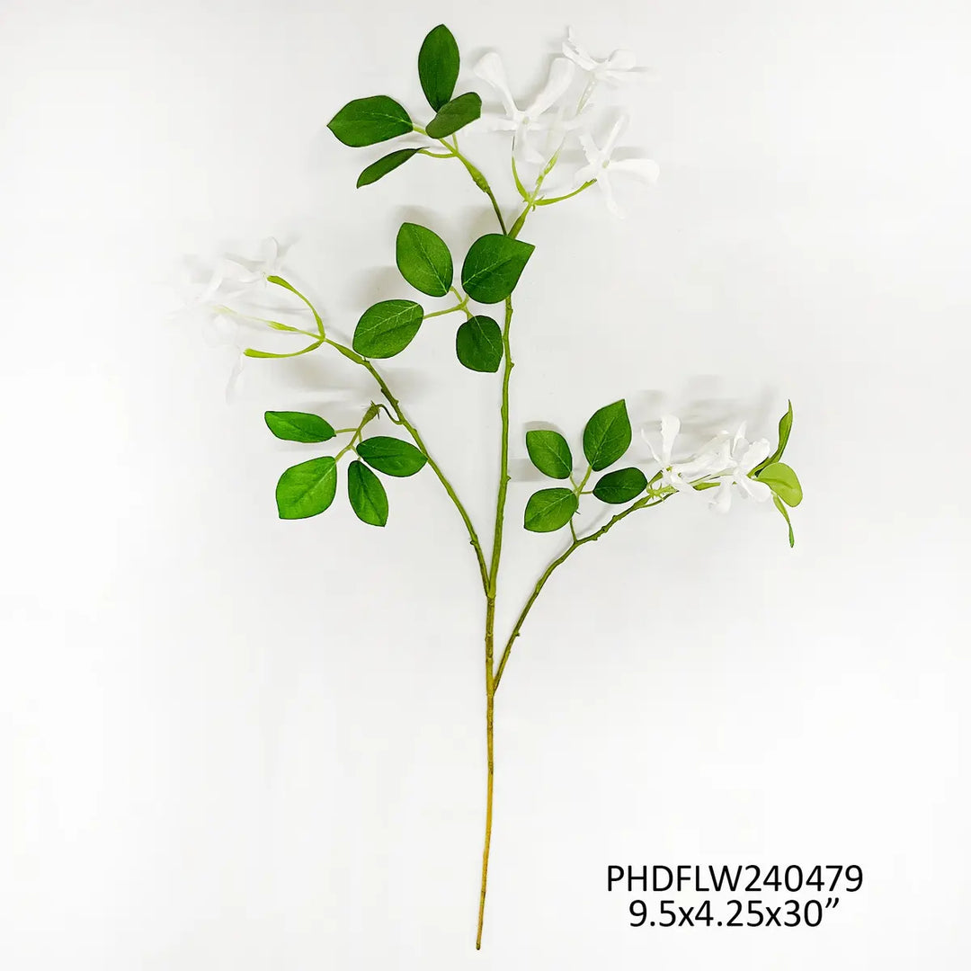Wild Jasmin