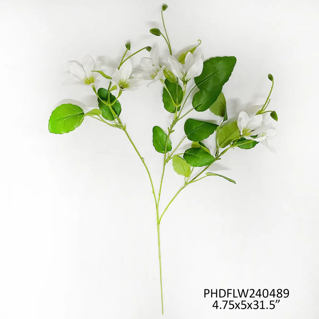 White Garden Clematis