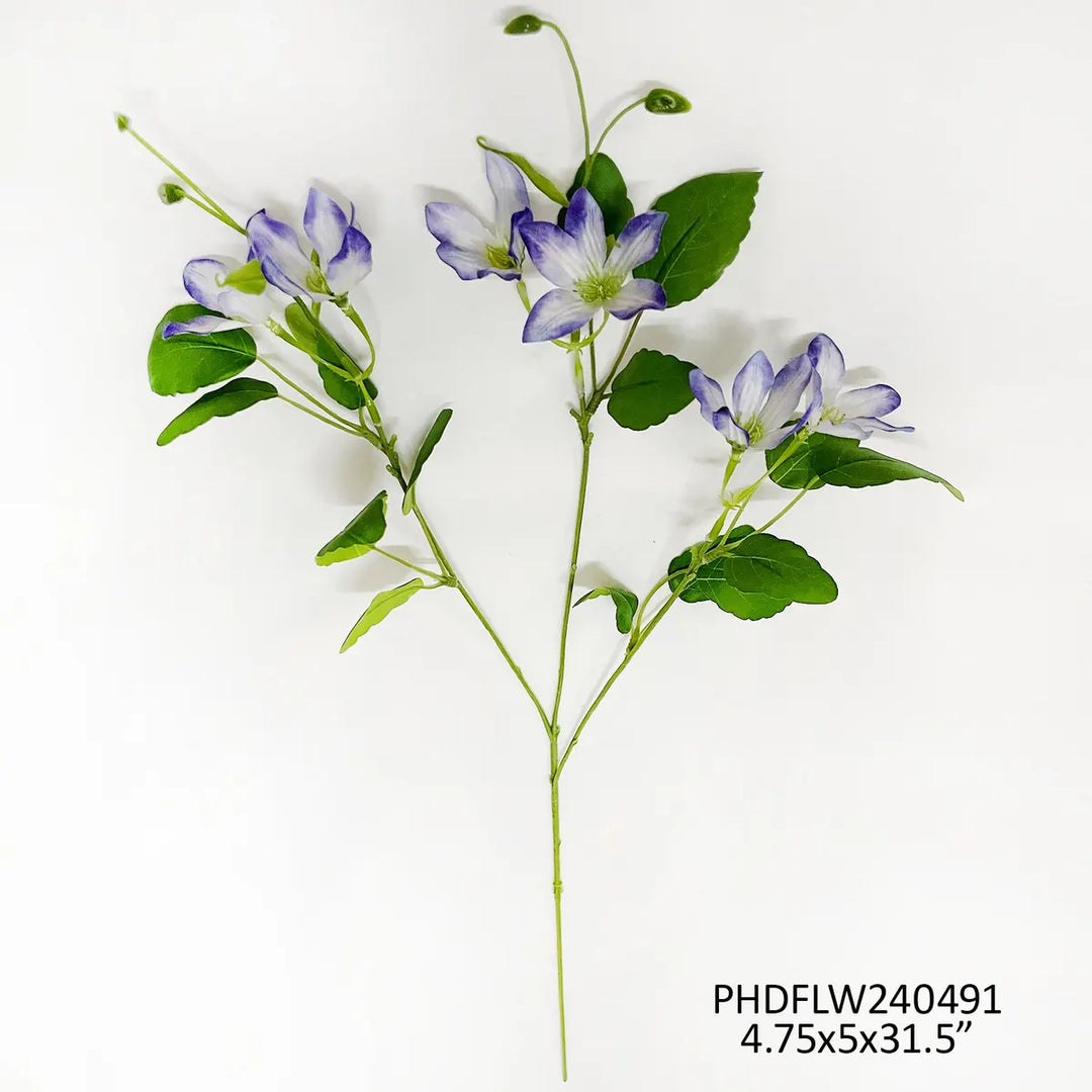 Purple Garden Clematis