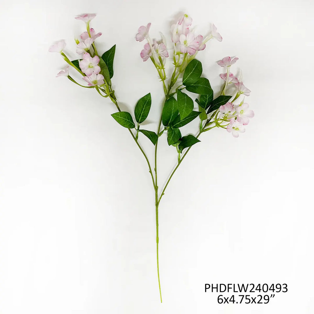 Blush Garden Phlox