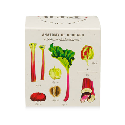 Backyard Rhubarb Plant the Box Candle, 9 Oz