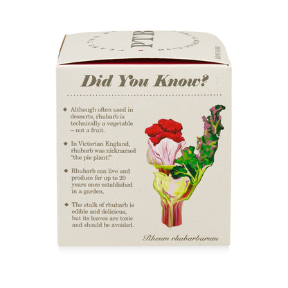 Backyard Rhubarb Plant the Box Candle, 9 Oz
