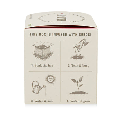 Backyard Rhubarb Plant the Box Candle, 9 Oz