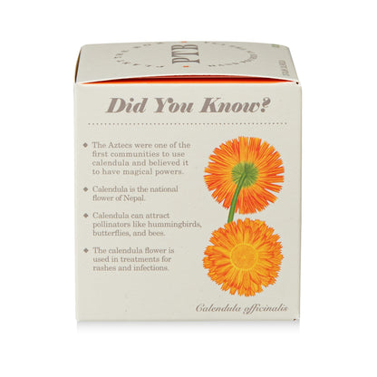 Catalan Calendula Plant The Box Candle, 9 Oz